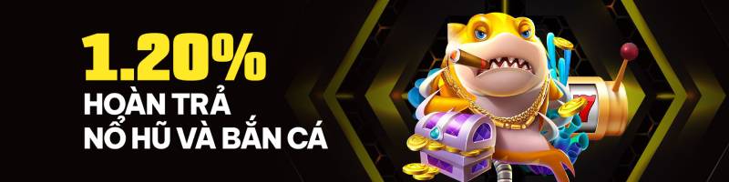 Cập nhật khuyến mãi và ưu đãi