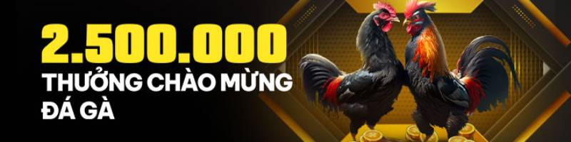 Khuyến Mãi BetVisa – Cơ Hội Nhận Thưởng Hấp Dẫn 2025 4 Khuyến mãi đá gà – Nhận 2.500.000 VNĐ tiền thưởng
